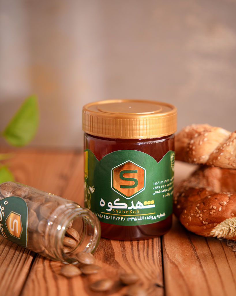 درمان و پیشگیری از سنگ کلیه
